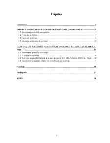 Analiza sistemului motivațional la SC Apă Canal 2000 SA Pitești - Pagina 2