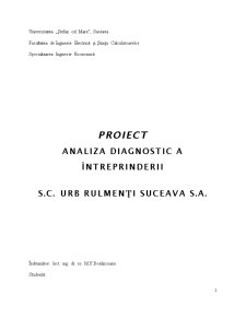 Analiza diagnostic a întreprinderii - SC URB Rulmenți Suceava SA - Pagina 1