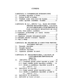 Instrumentarea contabilă privind calculul și contabilizarea impozitelor datorate statului - Pagina 1