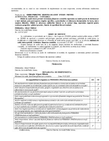 Metodologia de Derulare a Misiunii de Audit Intern și Valorificarea Rezultatelor - Pagina 4
