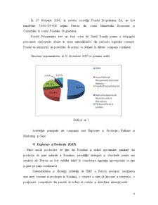 Analiza poziției financiare a SC Petrom SA - Pagina 4