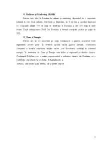 Analiza poziției financiare a SC Petrom SA - Pagina 5