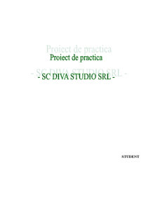 Practică de specialitate - SC Diva Studio SRL - Pagina 1