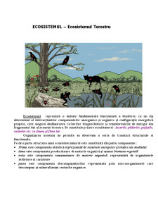 Ecosisteme Terestre - Pagina 1