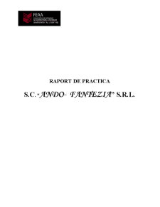 Raport de practică - SC Ando-Fantezia SA - Pagina 1