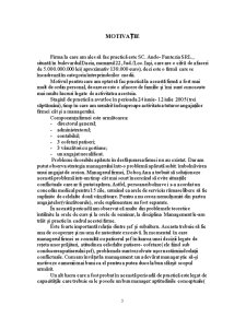Raport de practică - SC Ando-Fantezia SA - Pagina 3