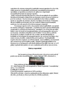 Raport de practică - SC Ando-Fantezia SA - Pagina 4