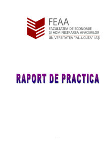 Raport de practică - SC Mopaf Vrancea SA - Pagina 1