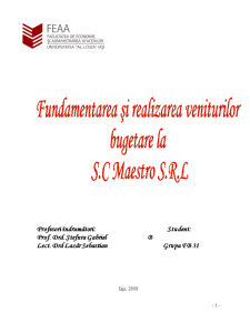Fundamentarea și Realizarea Veniturilor Bugetare la SC Maestro SRL - Pagina 1