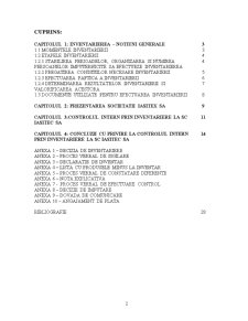 Controlul Financiar prin Inventariere - SC Iasitex SA - Pagina 2