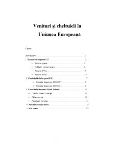 Venituri și Cheltuieli în UE - Pagina 1