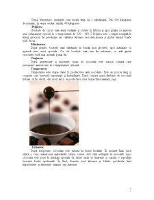 Mix de marketing - ciocolata Kandia - Pagina 5
