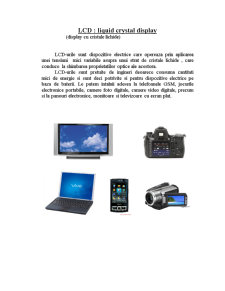 Afisarea Semnalului Video Utilizând Dispozitive LCD - Pagina 2