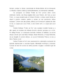 Prezentare Generală a Defileului Dunarii - Pagina 2