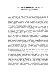 Analiza Mediului Afacerilor România Vs. Germania - Pagina 2