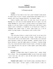 Analiza Bucovina - Pagina 3