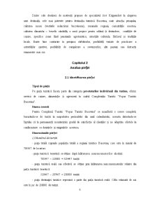 Analiza Bucovina - Pagina 5