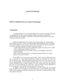 Mulți Protocol Label Switching - Pagina 1