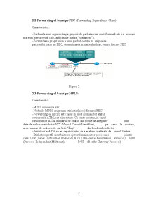 Mulți Protocol Label Switching - Pagina 5