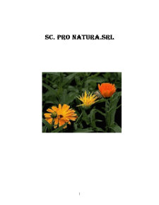 Plan de afaceri SC Pro Natura SRL - Pagina 1