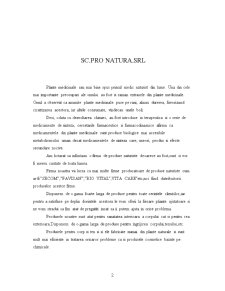 Plan de afaceri SC Pro Natura SRL - Pagina 2