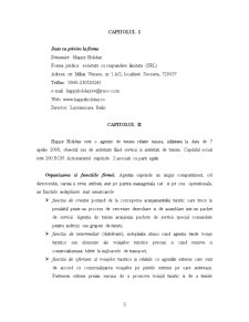 Analiza activității firmei SC Happy Holiday SRL Suceava - raport de practică - Pagina 3