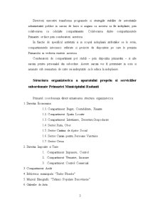 Raport privind activitatea de practică desfășurată în cadrul Primăriei Municipiului Rădăuți - Pagina 3