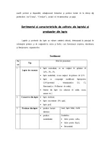 SC SCIL SA Dâmbovița - Pagina 3