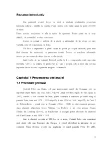 Propunerea și promovarea unui produs turistic - Castel Peleș - Pagina 3