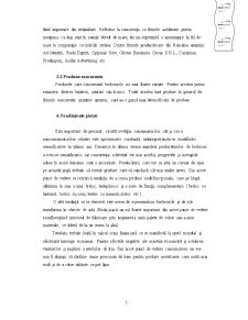 Analiza pieței - breloc de chei - Pagina 5