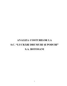 Analiza costurilor la SC Lucrări Drumuri și Poduri SA Botoșani - Pagina 1