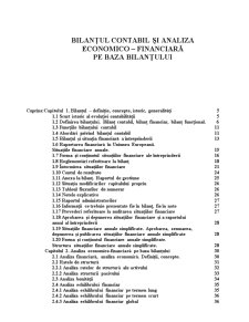 Analiză economică pe baza bilanțului - SC Confort SA Timișoara - Pagina 1