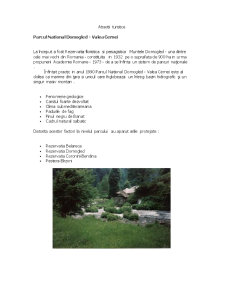 Proiect marketing turistic - Băile Herculane - Pagina 5