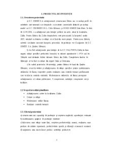 Plan de Afaceri - SC Simex SA - Pagina 3