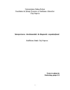 Proiect management organizațional - interpretarea chestionarului de diagnostic organizațional Raiffeisen Bank Cluj-Napoca - Pagina 4
