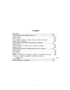 Contabilitatea ambalajelor, efectivelor de animale și stocuri aflate la terți și monografie contabilă - Pagina 2