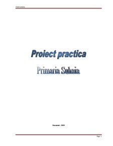 Proiect practică - prezentarea Consiliului Local Suhaia și a Primăriei Comunei Suhaia - Pagina 1