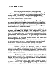 Proiect practică - Pensiunea Civio, Brașov - Pagina 2