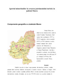 Aportul minorităților la crearea patrimoniului turistic în județul Mureș - Pagina 1