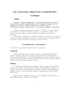 Manager vs Antreprenor - Pagina 3