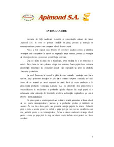 Internaționalizarea firmei Apimond SA - Pagina 3