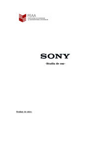 Studiu de Caz Sony - Pagina 1