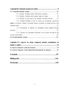 Regimul Juridic al Bunurilor Soților în Lumina Reglementărilor Actuale - Pagina 3