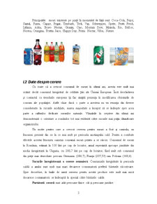 Comportamentul consumatorului - Pagina 3