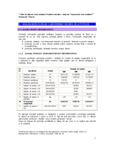 Evaluarea întreprinderii SC DPR Draexlmaier Procese de Producție România SRL - Pagina 3
