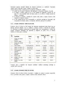 Evaluarea întreprinderii SC DPR Draexlmaier Procese de Producție România SRL - Pagina 5
