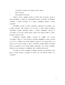 Imobilizări corporale - SC Palas Paper Marine SRL - Pagina 3