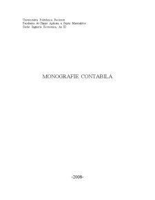 Monografie contabilă - Pagina 1