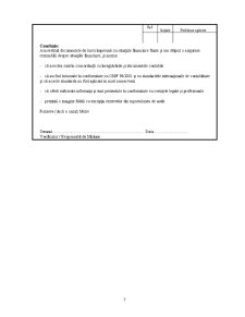 Secțiuni audit financiar - Pagina 3