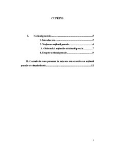 Acțiunea Penală în Procesul Penal - Pagina 2